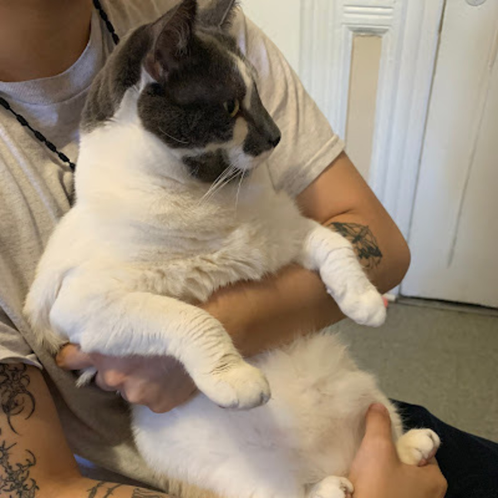 Meet your Posher, Kimberly